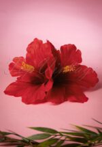 50s Double Hibiscus Double Pretty Hair Clip in Red